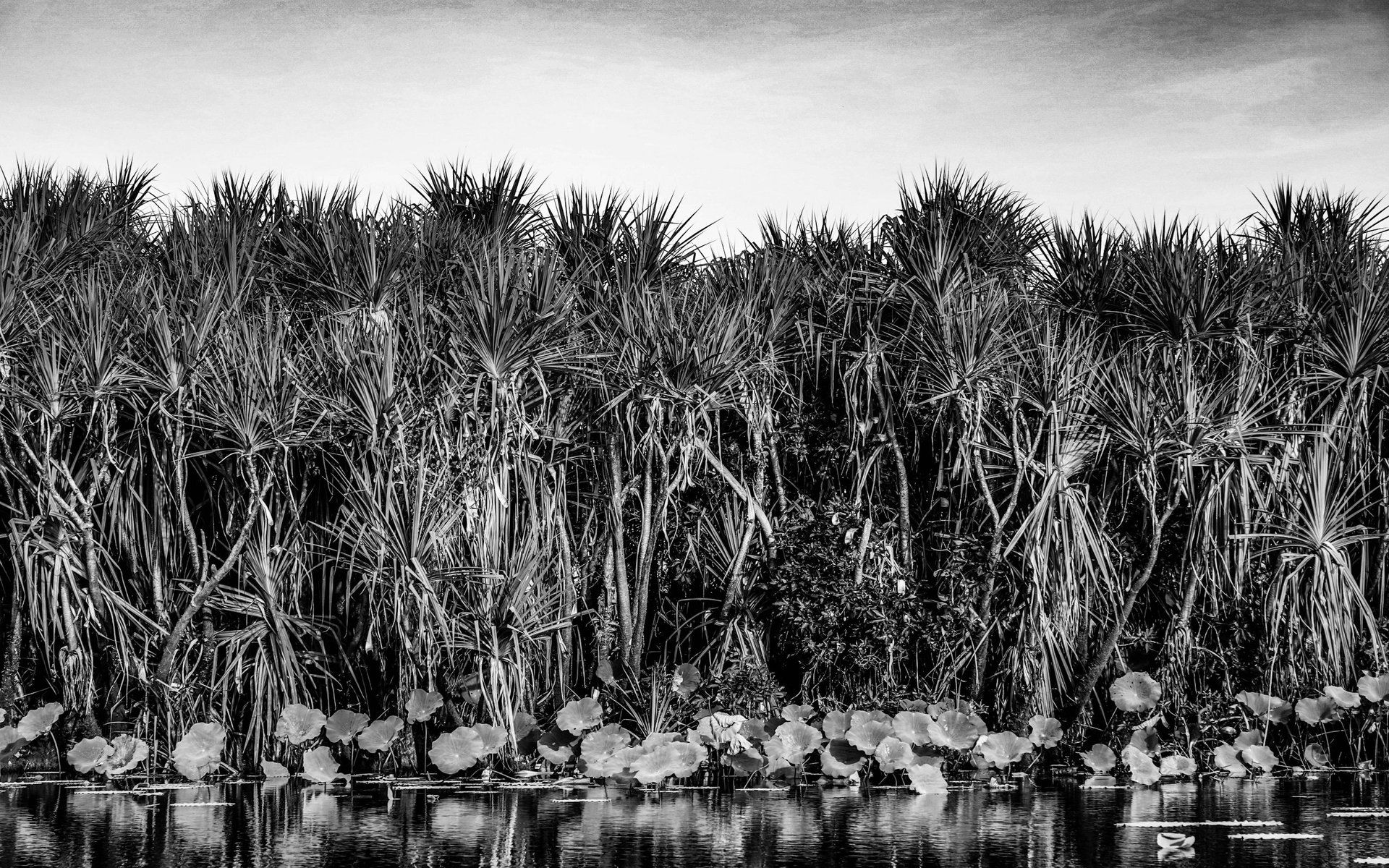 Kakadu National Park