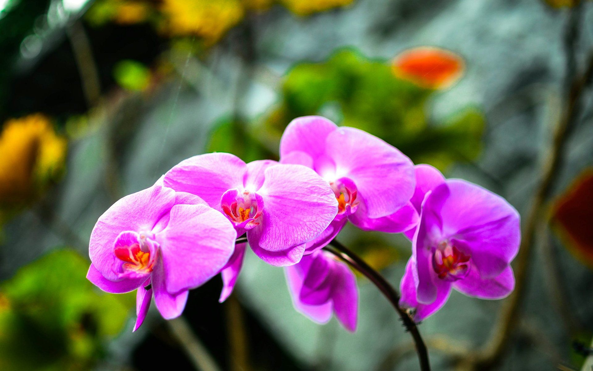 Gardens by the Bay