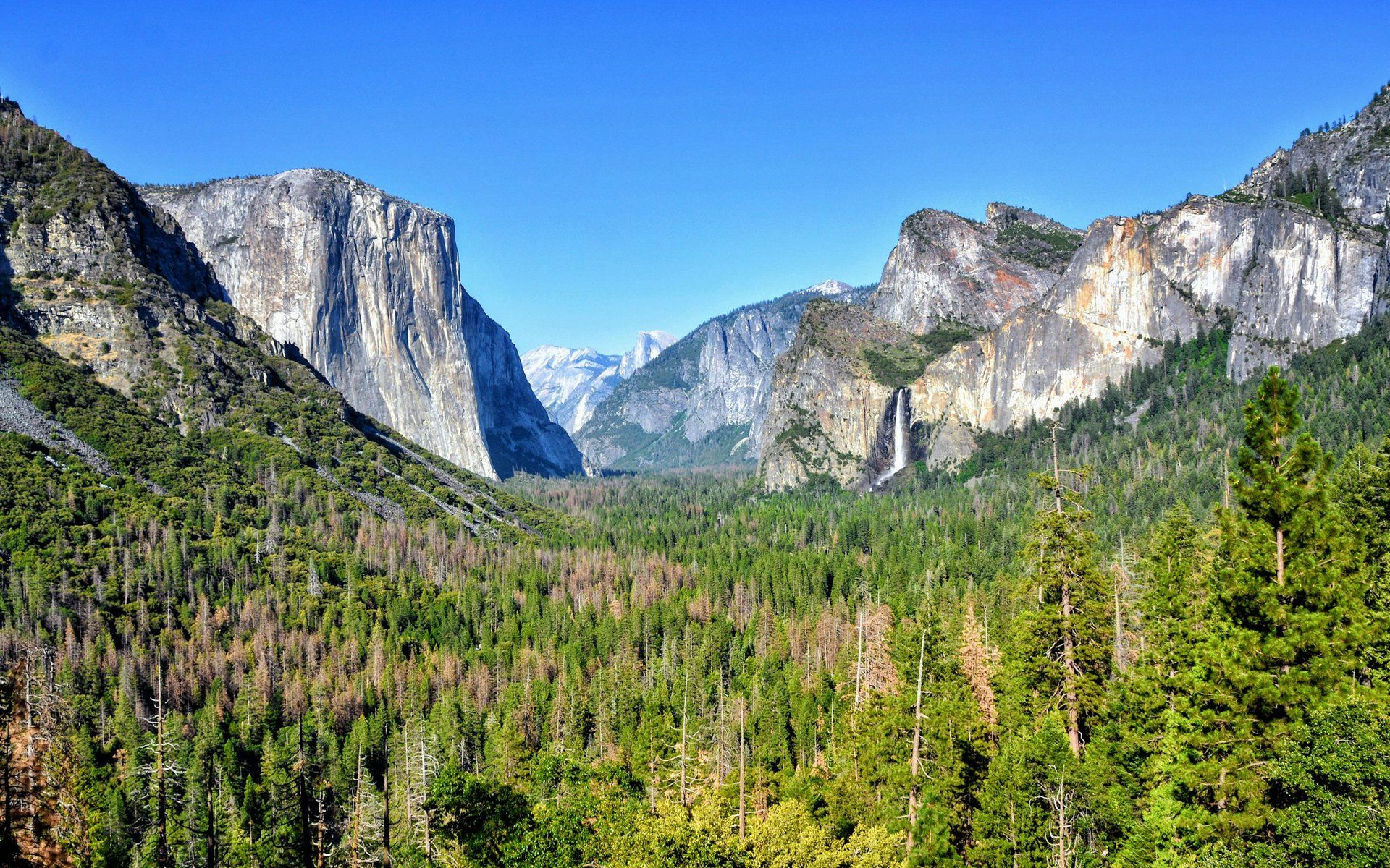 Yosemite National Park