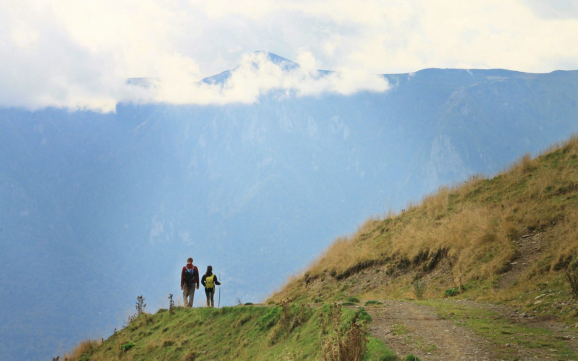 Bușteni