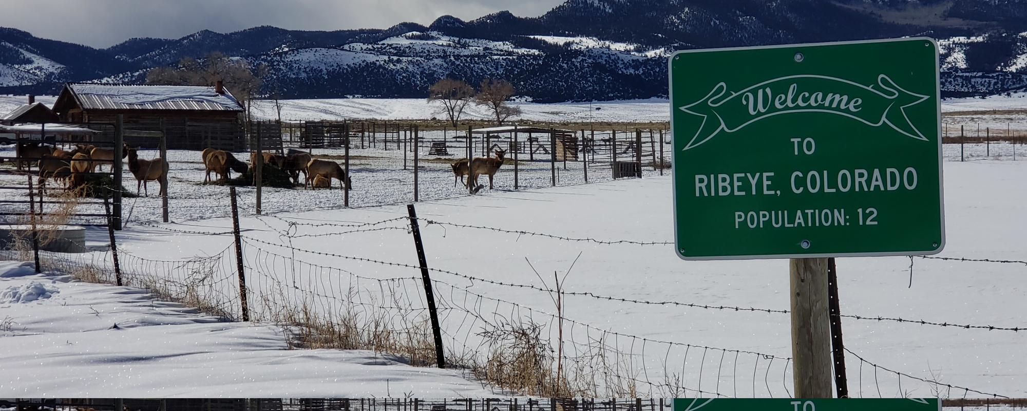 R2R Travelogue 1: Ribeye, Colorado