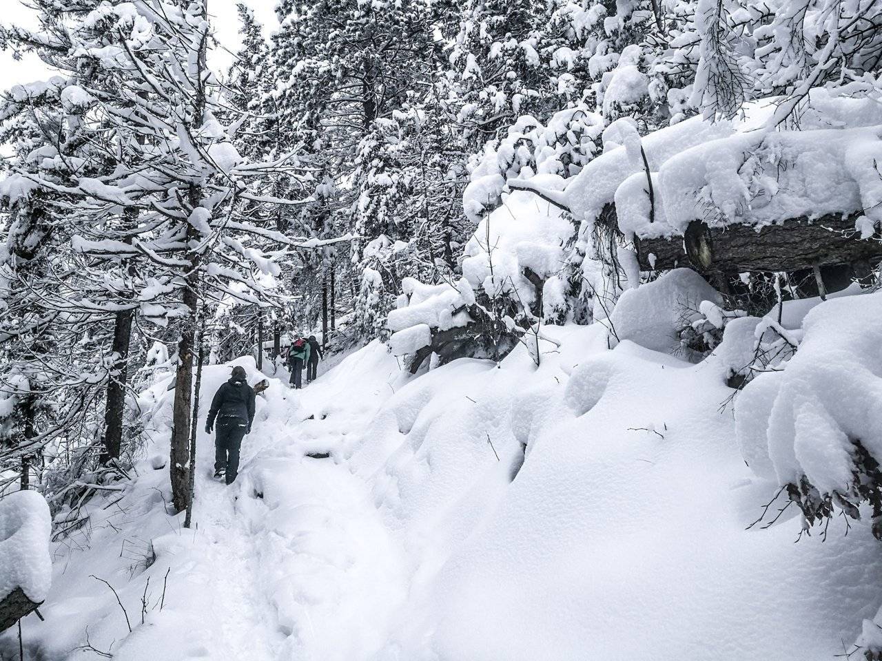   With enough snow, even an easiest hike might get difficult and dangerous. Photo by Alis Monte [CC BY-SA 4.0], via Connecting the Dots