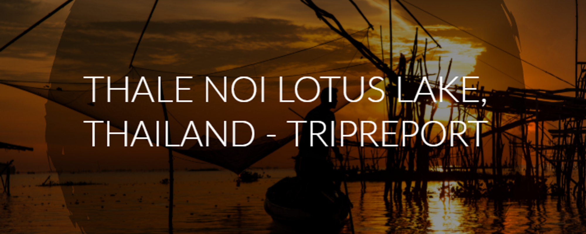 Thale Noi Lotus Lake, Thailand - Tripreport