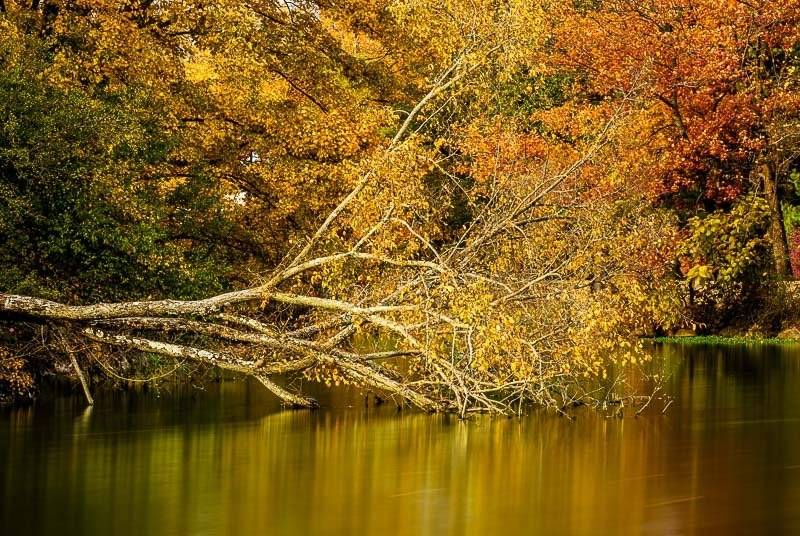 foliage autumn season Verona Park in New Jersey montclair photography art