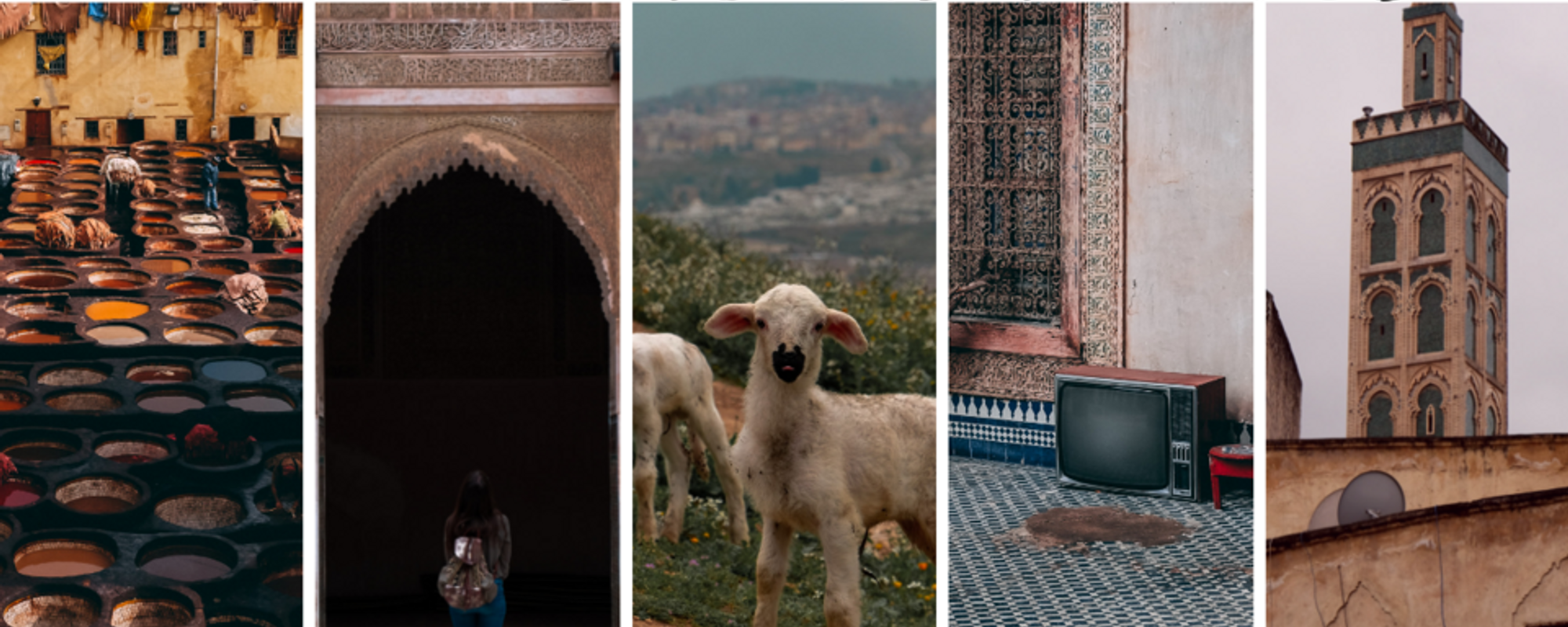 5 places to visit in Fez, Morocco