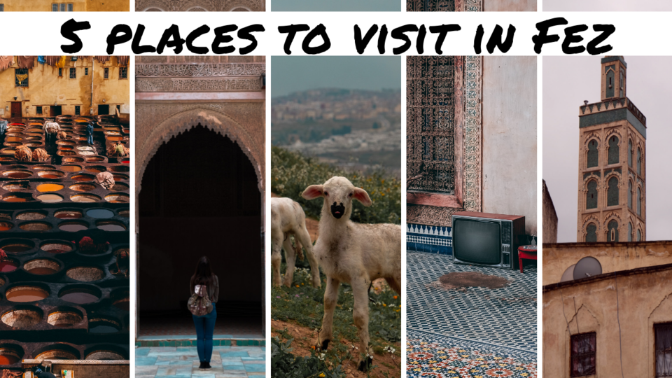 5 places to visit in Fez.png