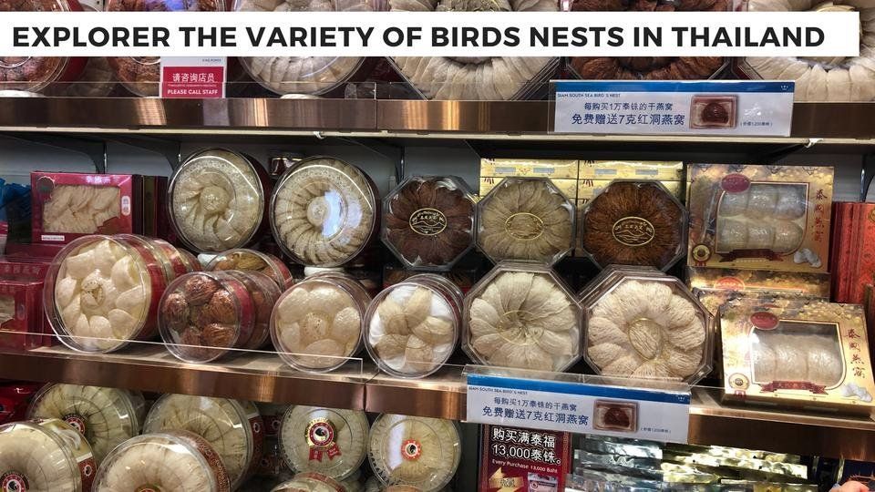 birds nest.jpg