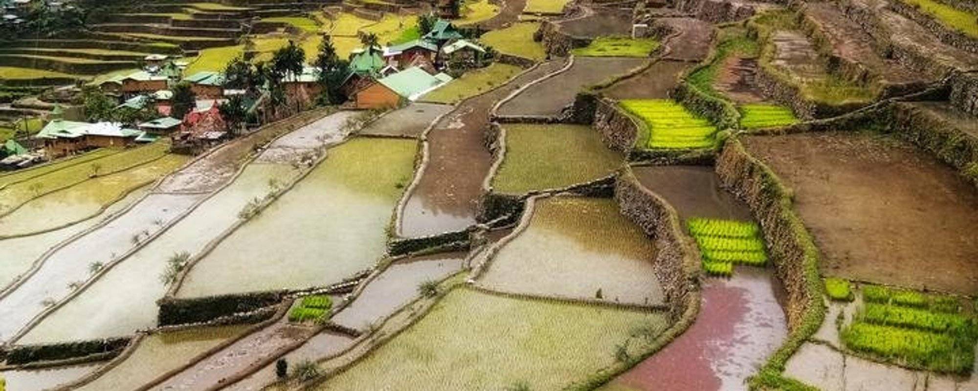 Batad's Rice Terraces and Tappia Waterfalls (with video clips)