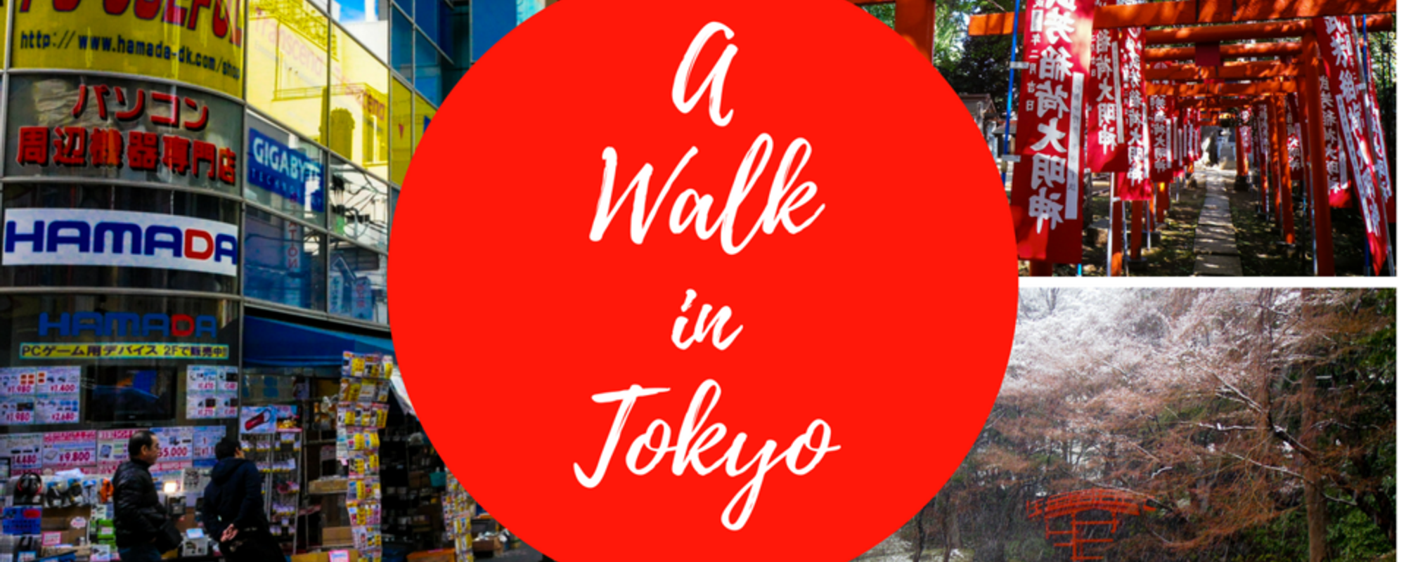 Take a walk in Tokyo