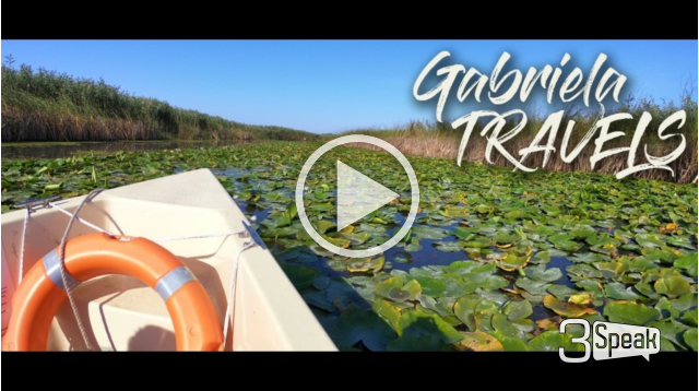See The World #36 - Danube Delta, The Drowned Forest Letea and the Salty Lake