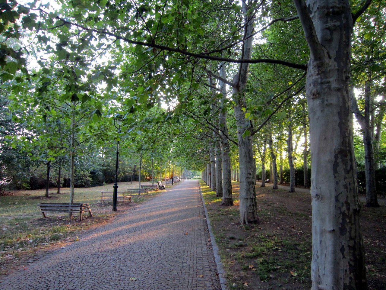 5nuu1a.jpg