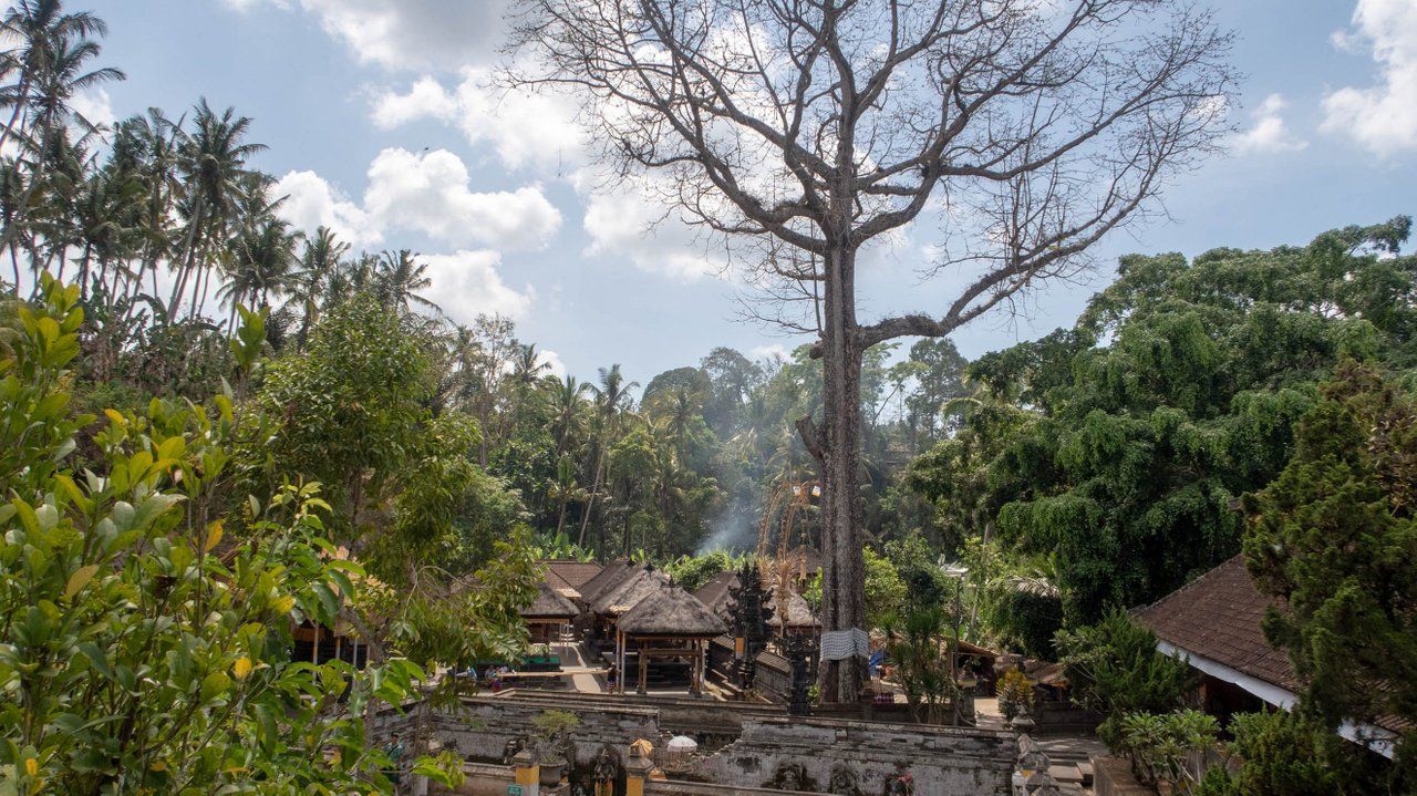 My Journey to The Elephant Cave