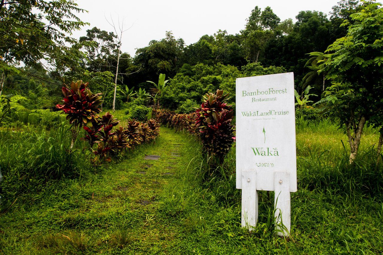 Returning to the Restaurant in the middle of the Bali forest