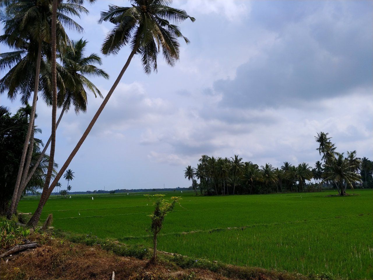 SUASANA KHAS DAN PEMANDANGAN INDAH DESA SEBAGAI PENYEJUK JIWA
