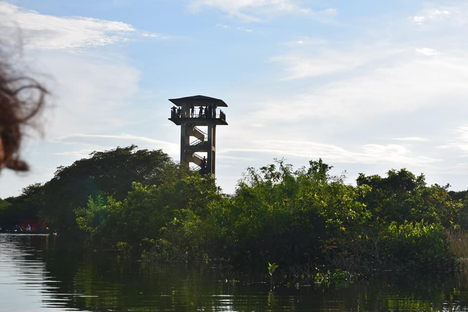 I was explore some beautiful places Jaflong, Lalakhal, Srimangal, Bedakandi, Rataragul.