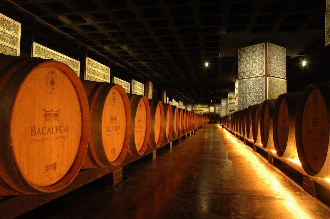 Portugal - Wine Routes 