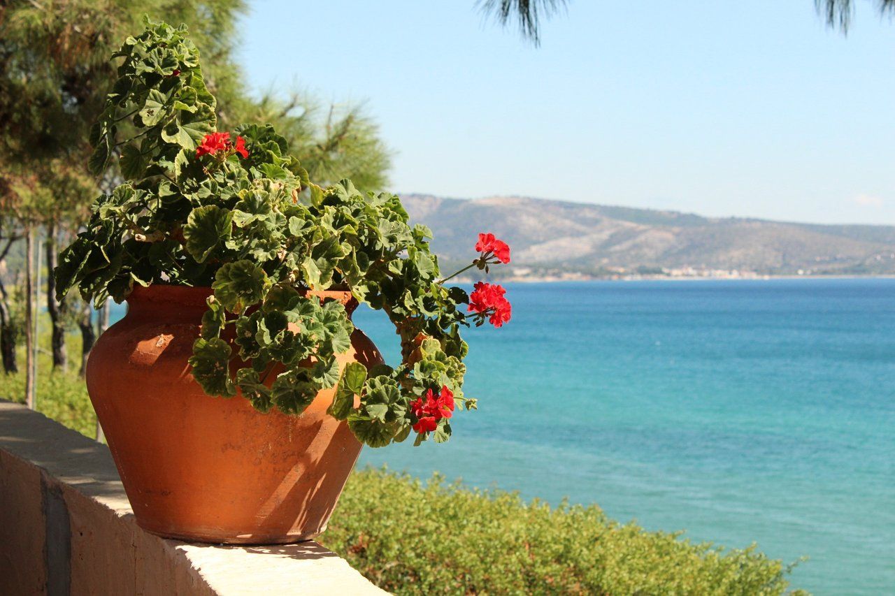 Five minutes, five Greek minutes!