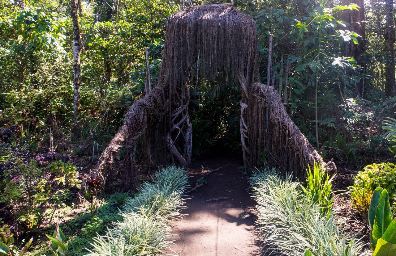 Jungle Trekking and Lake Cruising in Tamblingan, Bali, Indonesia