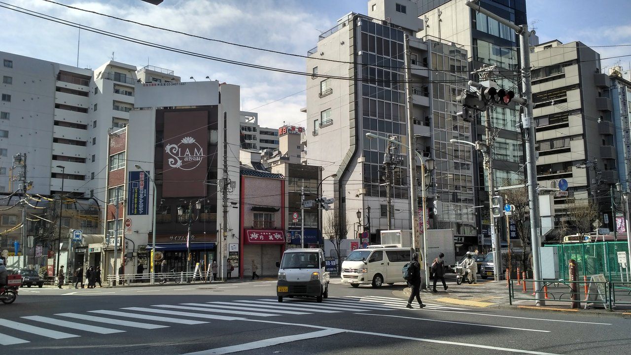 The Cityscape Diversity of Tokyo