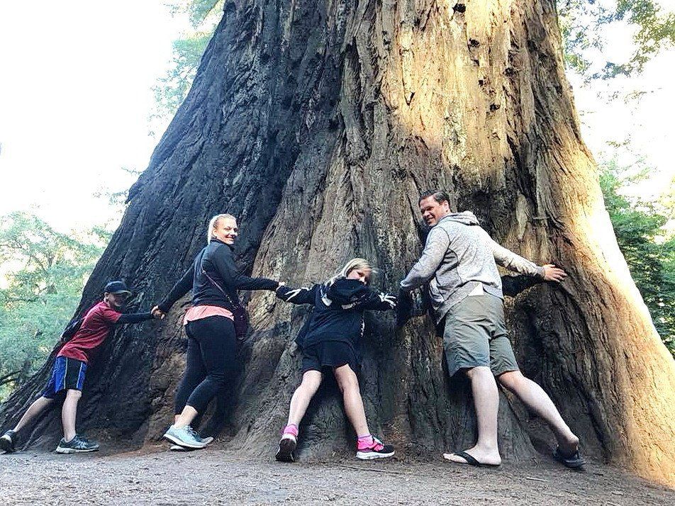 Big Basin Redwoods State Park , California !!