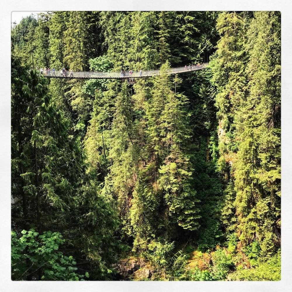 Capilano Suspension Bridge Park