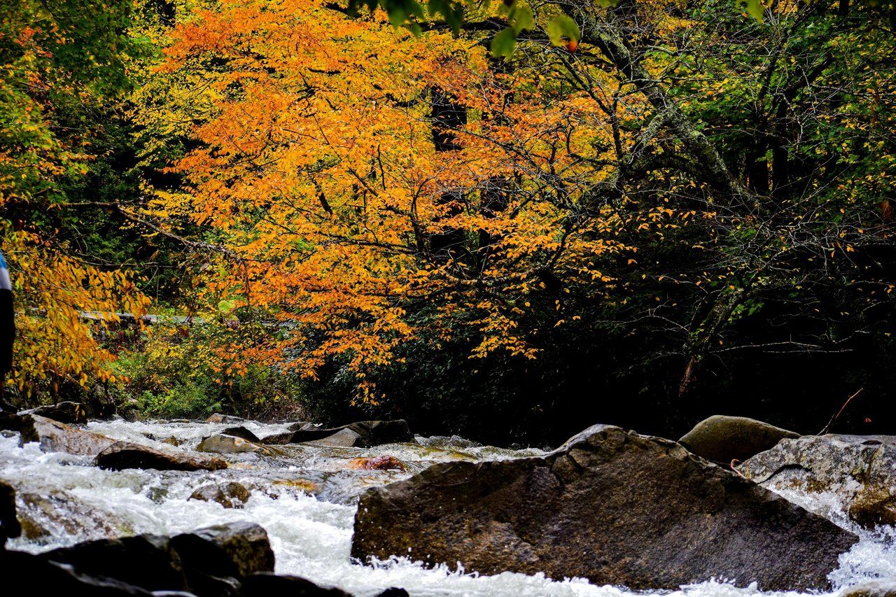 The Great Smoky Mountains - Little River