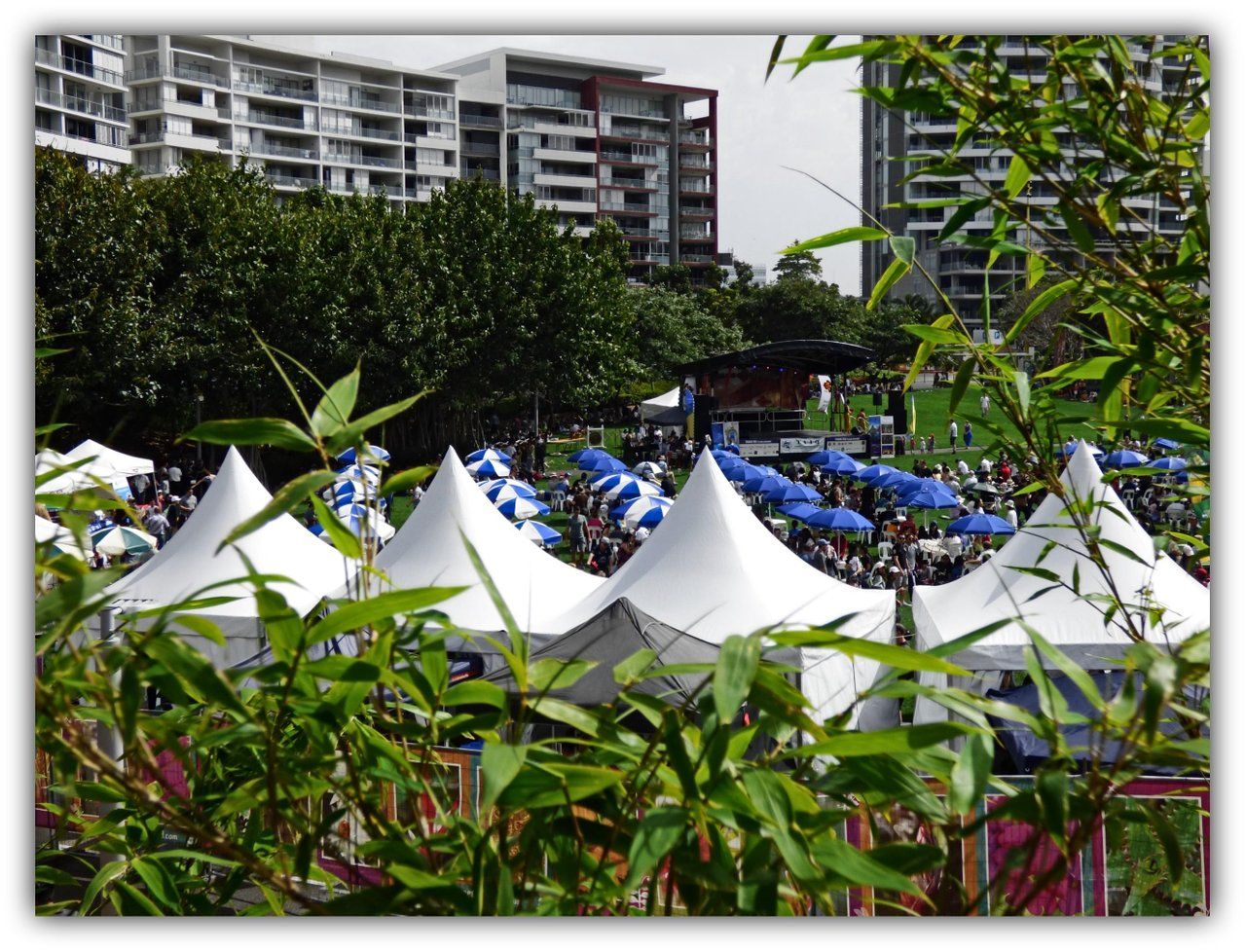 Market Friday. 'A Taste of Thai.'