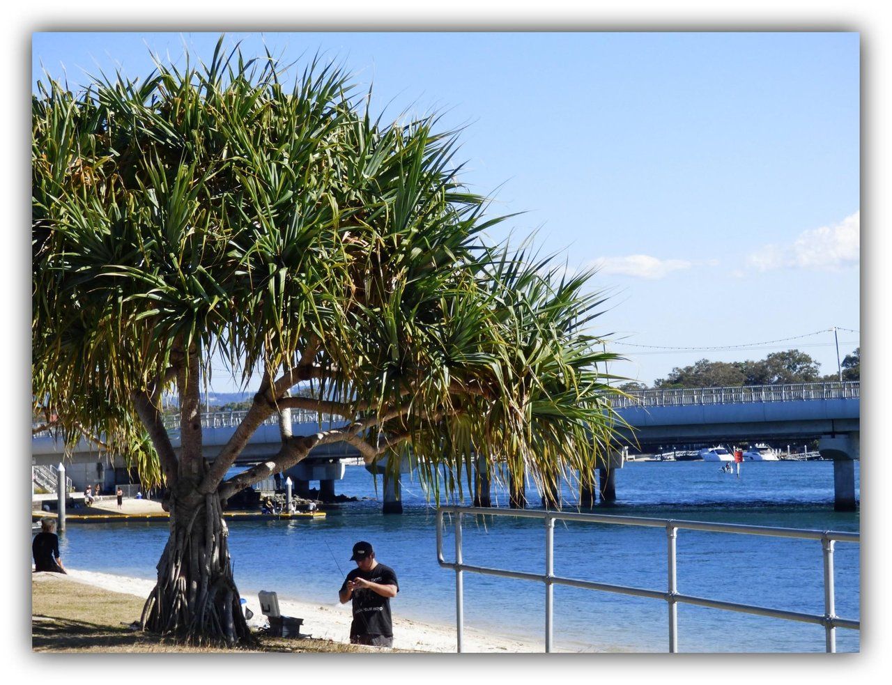 Australia, Oceania & Africa - Weekly Round-Up #77