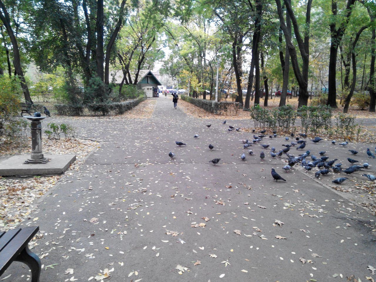 A Walk in History
