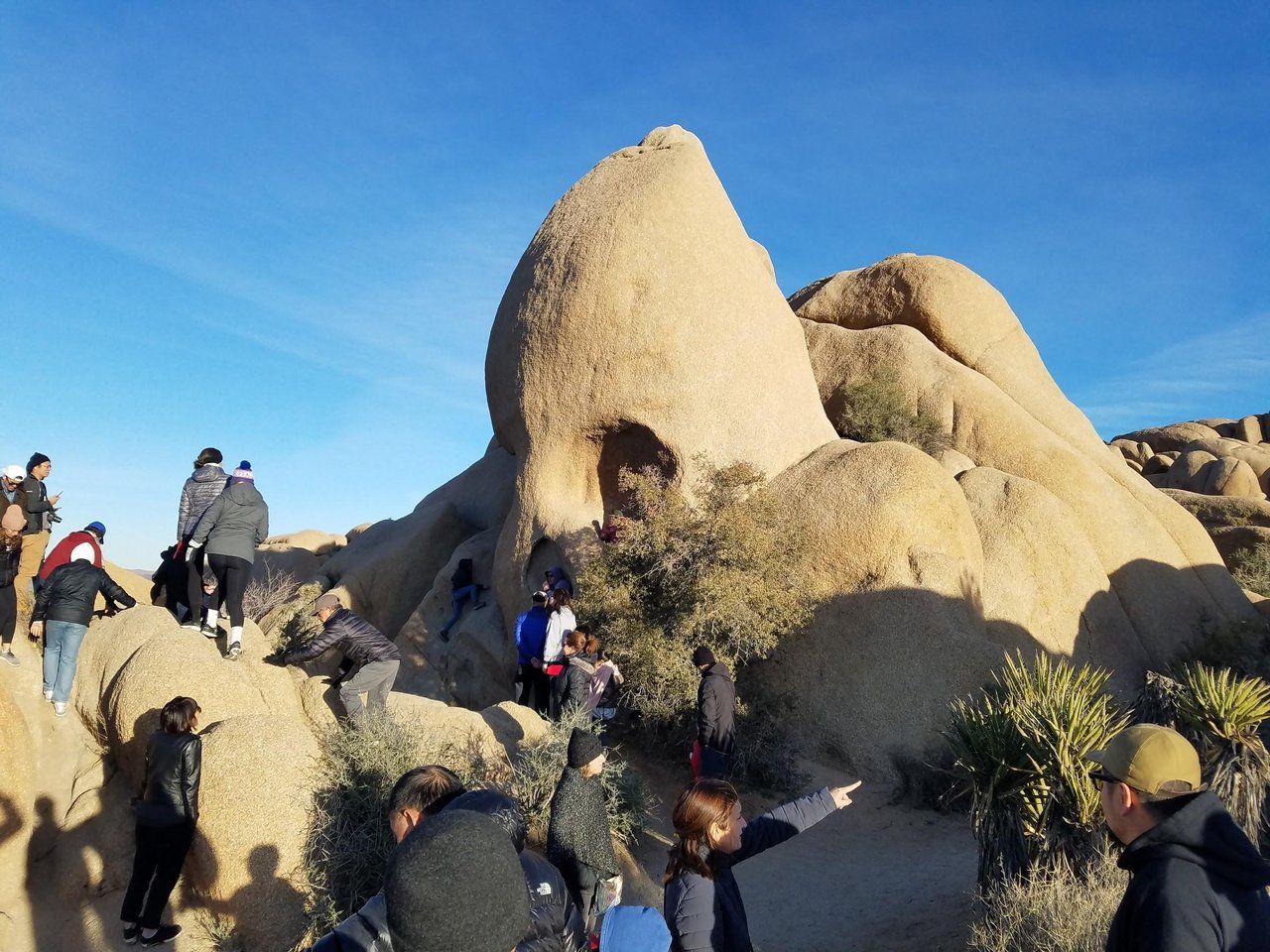 Skull Rock: Joshua Tree National Park