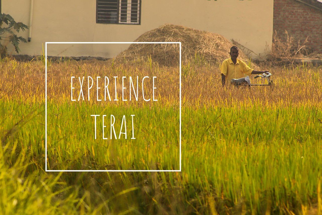 Bhairahawa - Experience Terai