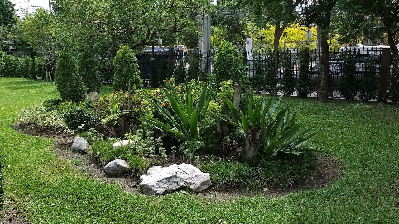 Beautiful Sunday and Sublime Sunday - Old Part of Bangkok !!