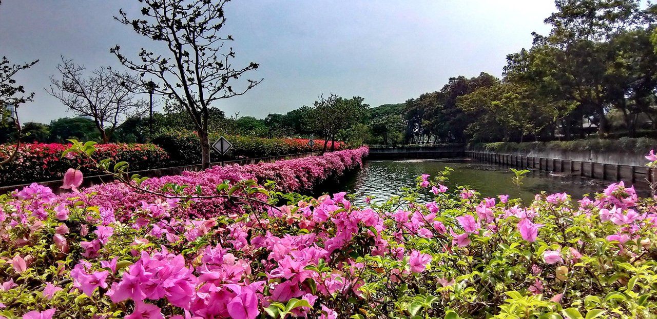 Beautiful Sunday and Sublime Sunday - Benjakitti Park Bangkok !!