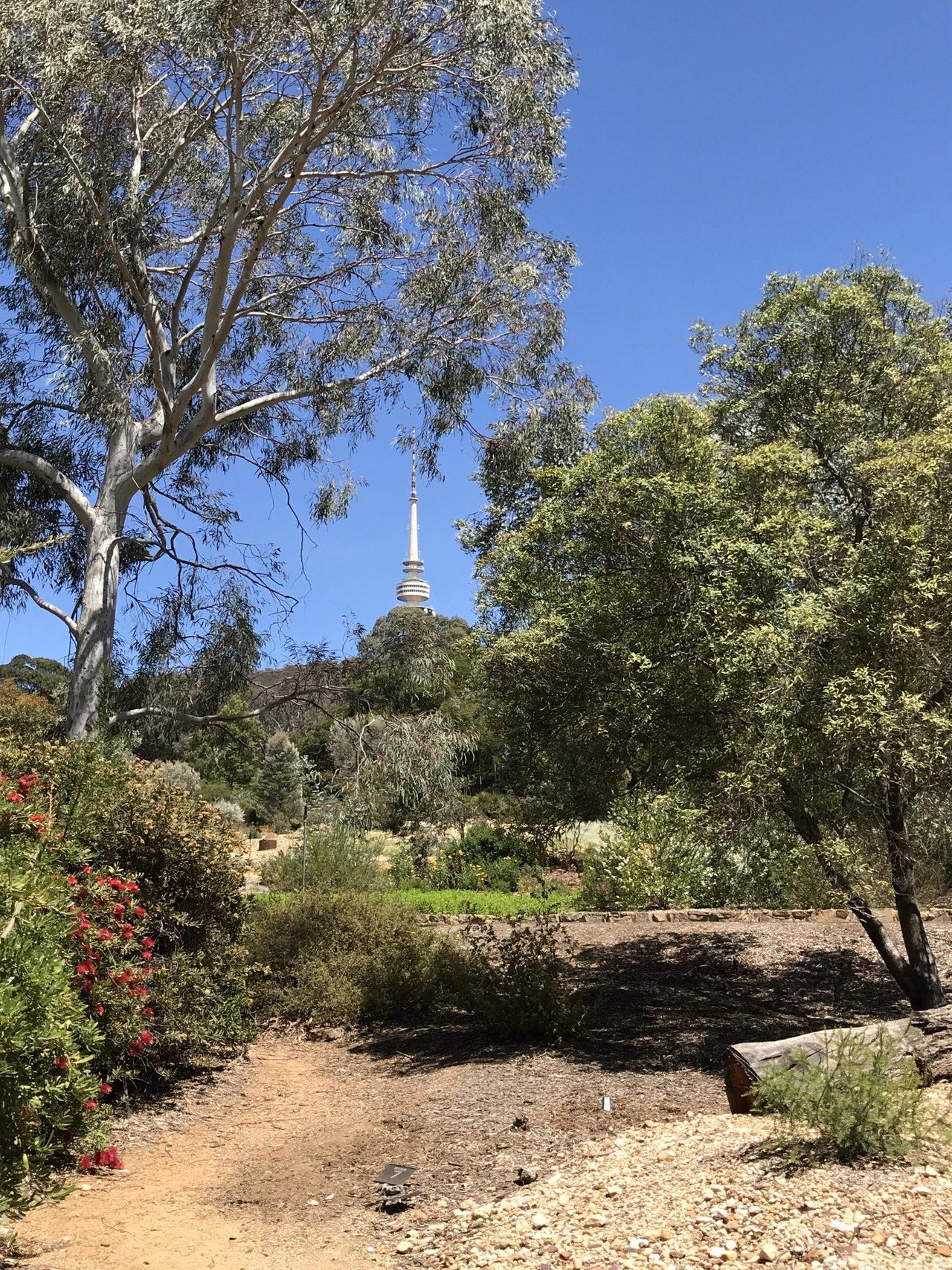 Botanic Gardens - Flowers and (deadly)Critters