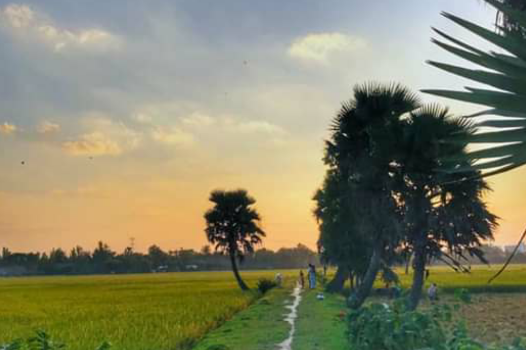 Beautiful scenery and sunset photography in the village