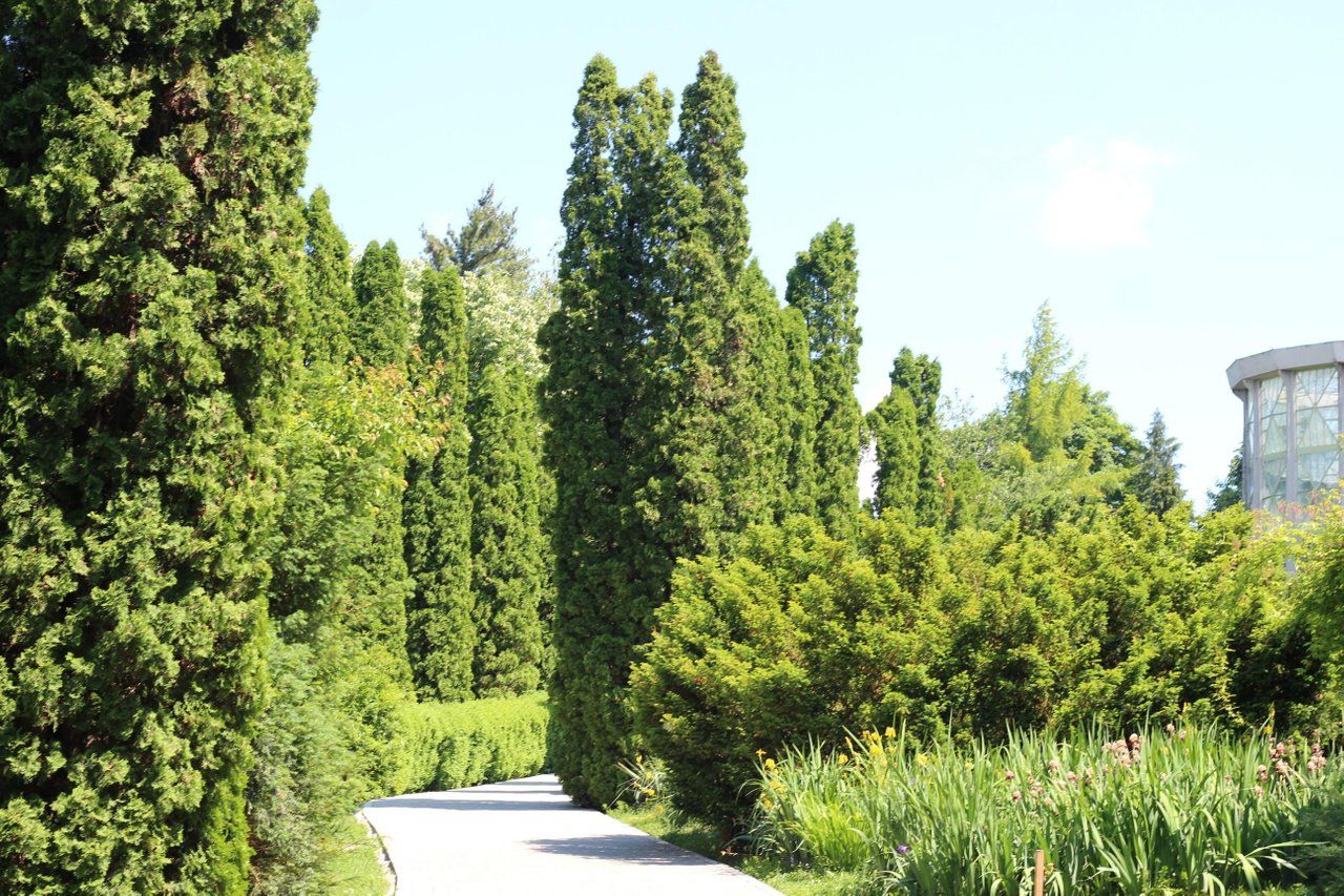 First Stop: The Botanical Garden!