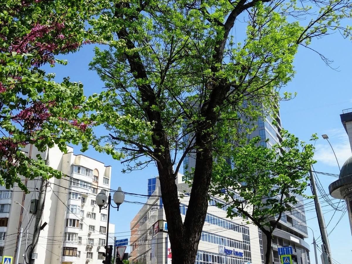 📷 Beautiful Sunday and Sublime Sunday: rest in the city 