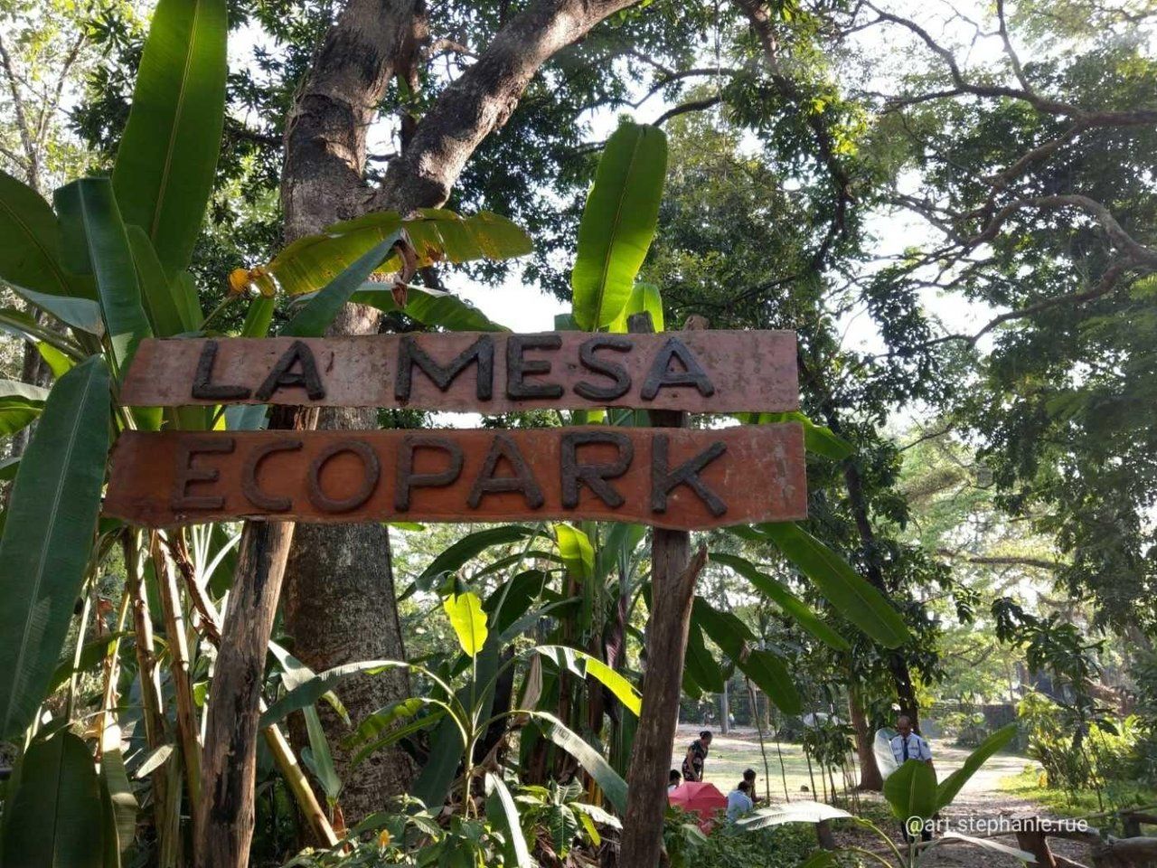 Take a Break and Enjoy Nature at La Mesa Ecopark!
