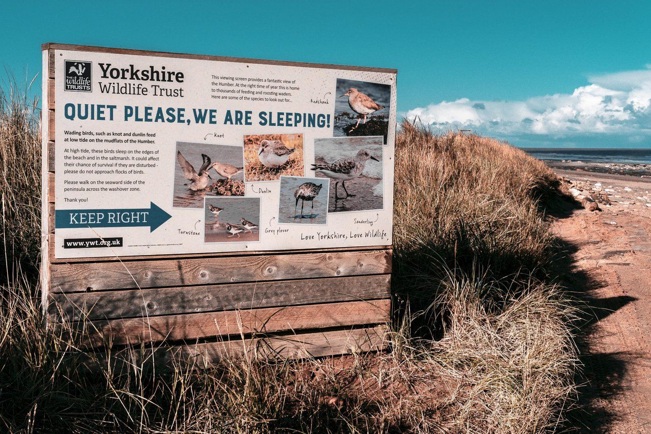 The hidden gem of Yorkshire - The SPURN