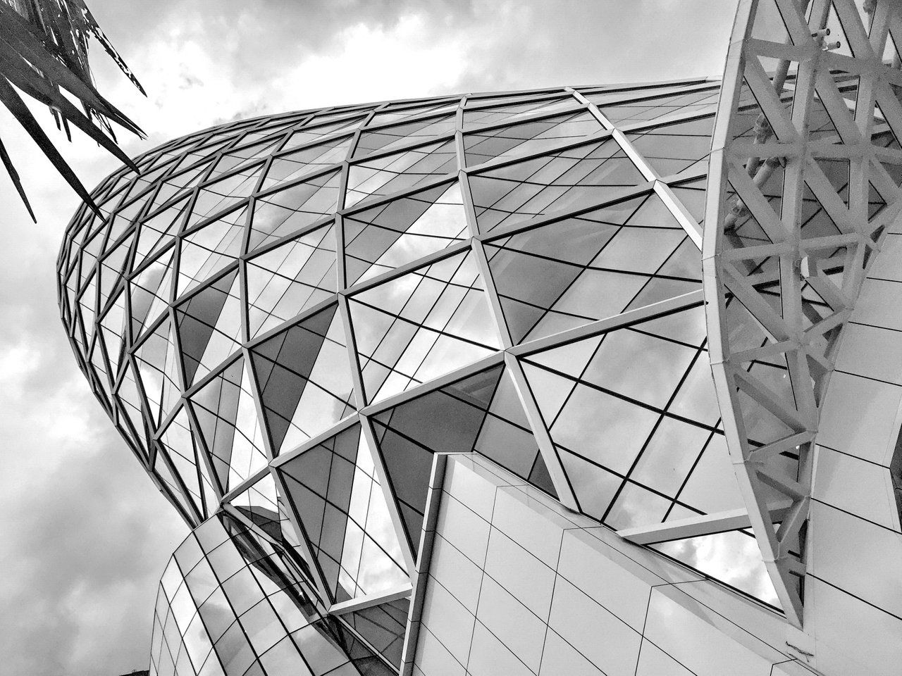 Monochrome Monday and Looking Up !!