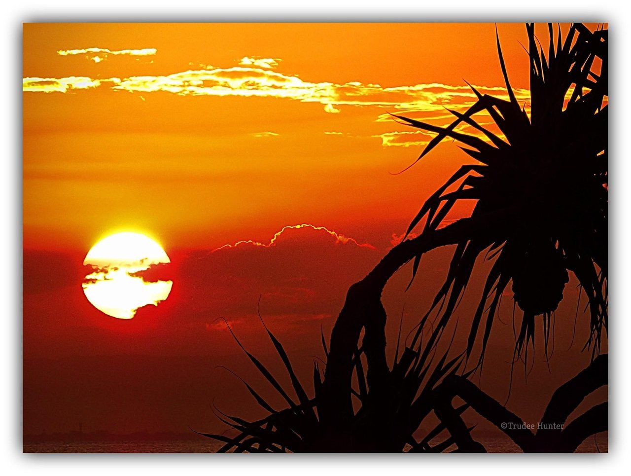 Tangalooma Beach Resort. Part #4