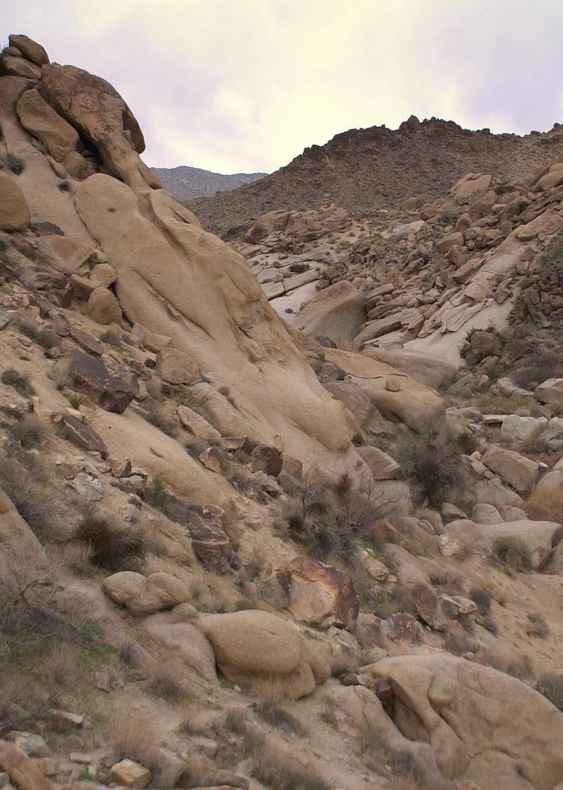 Boulder Sunday, Grapevine Canyon Petroglyphs