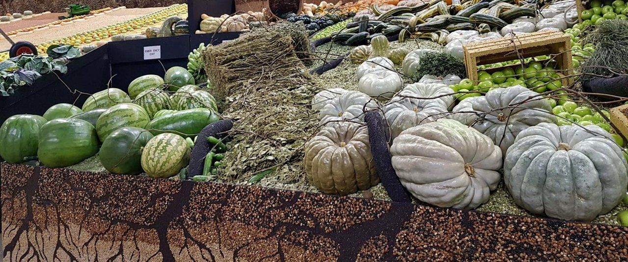 MarketFriday - Fruit Fair Display !!
