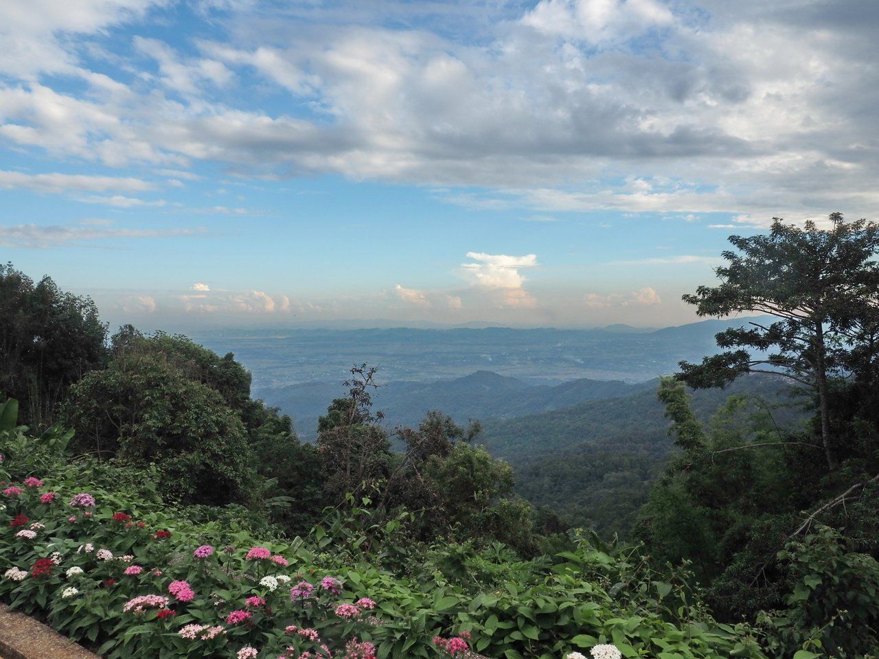Beautiful Sunday and Sublime Sunday - Beautiful Flower Gardens in Chaiang Mai !!