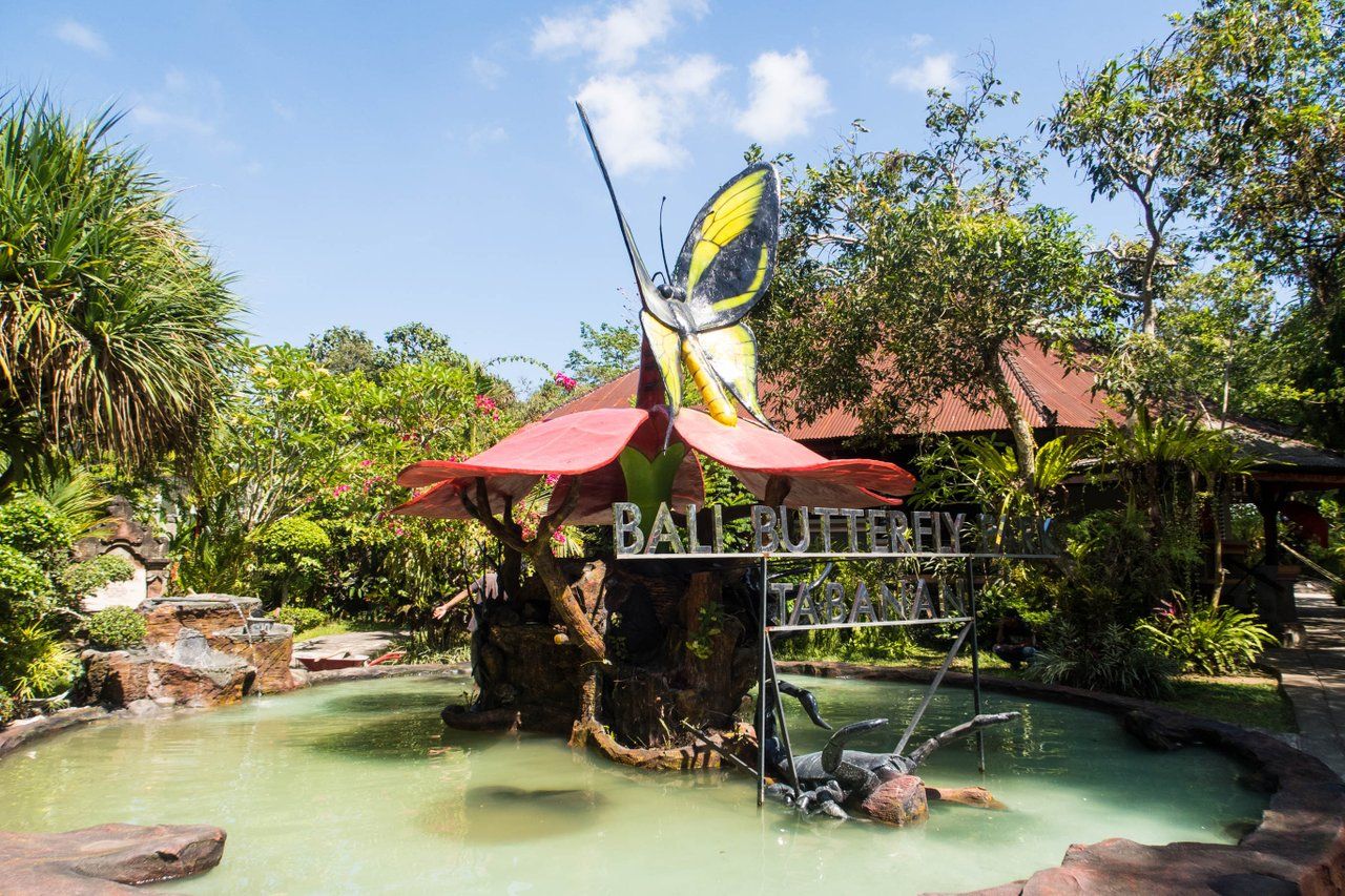 2bz6dg.jpg