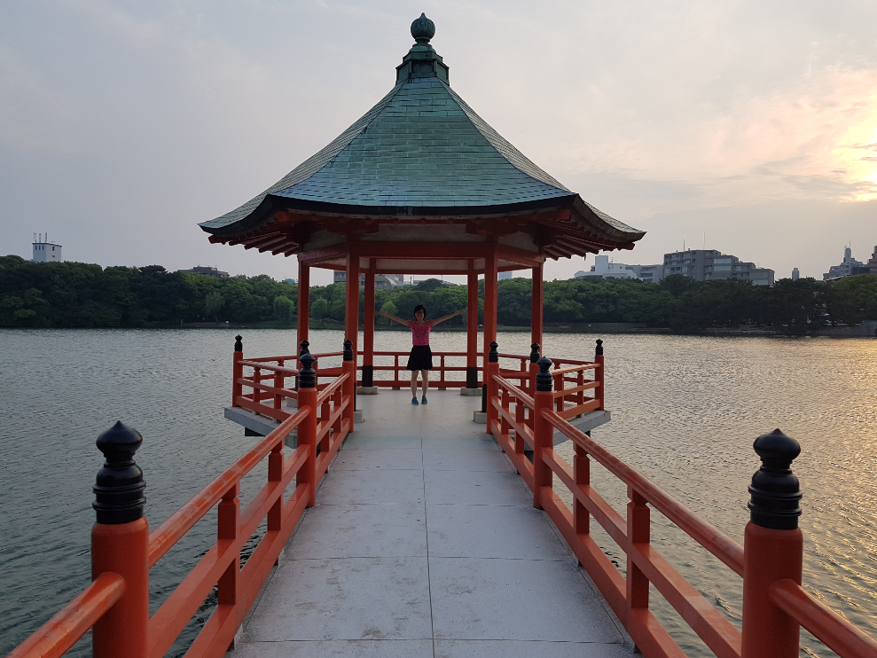 TacoCat’s Travels #111 (Japan 4.0: Fukuoka): Chillin' with Doggos before Flying Off! 🐶