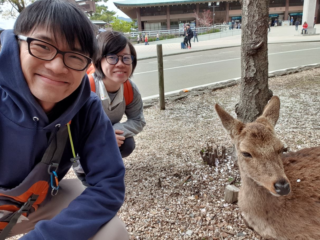 TacoCat’s Travels #154 (Hiroshima): Sailing to Shrine Island? Oh Deer! ⛩