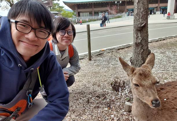 TacoCat’s Travels #154 (Hiroshima): Sailing to Shrine Island? Oh Deer! ⛩