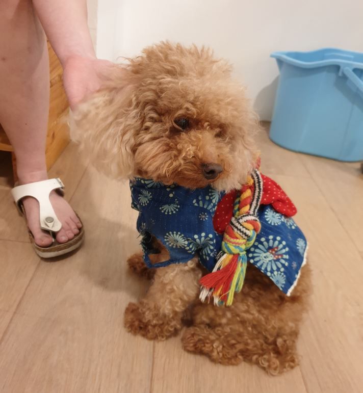 Travel Advice - Weekly Round-Up #251