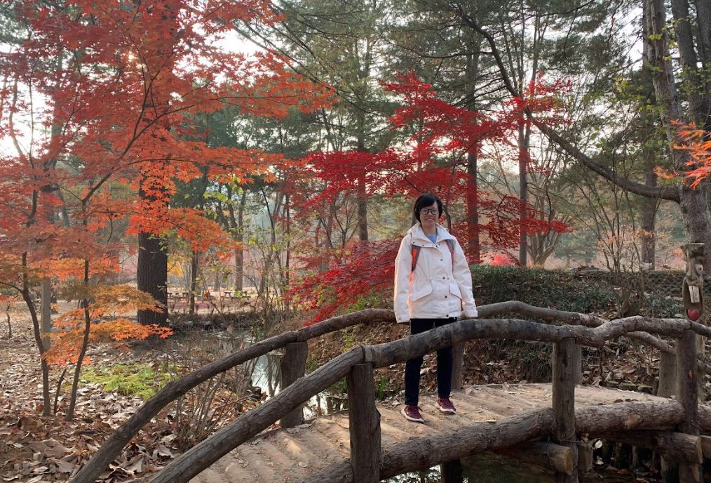 TacoCat’s Travels #237 (Seoul): Finishing our Fall Fairy Tale Adventure in Nami Island 🍂